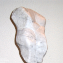 Torso